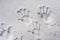 Handprints in the snow. Family fingerprints in the snow close-up and copy space.