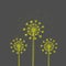 Handrawn white silhouette three dandelion on a dark background. Hand drawn elements for your designs dress, poster, card