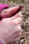 Hands of 12 years old girl sharpening a stick with pocket knife