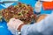 Hands adding lettuce leaves into bowl with salad