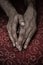 Hands of adult Indian man lying on a red tablecloth