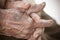 Hands Asian elderly woman grasps her hand on lap, pair of elderly wrinkled hands in prayer and Traces of hard work, World Kindness