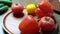 hands beautifully spread tomatoes and sweet pepper on wooden round cutting board