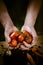 Hands with biological vegetables