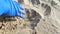 Hands in blue gloves remove plastic debris from the sand. The concept of waste management and environmental protection.