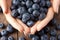 Hands Blueberries Healthy Food