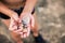 Hands of the boy in which are seashells