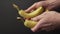 Hands break a couple of ripe bananas on a dark background close-up.