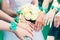 Hands of bridesmaids with green bracelets