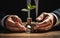 Hands of businessman protection plant sprouting growing from coins and banknotes, business investment and strategy concept