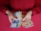 hands of a businesswoman counting mexican banknotes