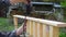 Hands of carpenter affixing pine wood banisters to a plank