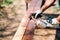 Hands in carpentry industry. Manual painting of timber with brown paint