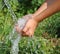 Hands catching clean falling water close up