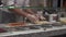 Hands of chef in fast food restaurant put ingredients on pizza view through showcase. Pizza concept. Food production and