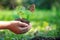 Hands child holding tree with butterfly keep environment on the back soil in the nature park