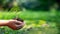 Hands child holding tree keep environment on the back soil in the nature park