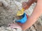 Hands of child playing in the sandbox with yellow scoop and blue bucket