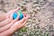 Hands of children daughter and adult mother embrace the blue globes on soiled background and blurred grass and white flowers.