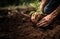 hands from a close-knit community come together to plant a young sapling, symbolizing collective growth, environmental