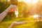 Hands closeup of woman applying antiseptic antibacterial gel in summer day in field greens grass background. protection