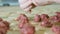 The hands of the cook lay out pieces of minced meat on the dough for making dumplings.