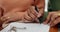 Hands, couple and sign contract for mortgage, closeup and commitment for property investment in new home. People, pen