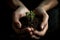 Hands cup soil with many sprouting seedlings