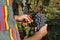 Hands cutting grape cluster