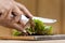 Hands cutting green lettuce