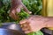 Hands cutting and preparing fresh and freshly harvested