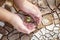 Hands defending green tree sprout on cracked ground