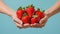 hands delicately holding strawberries with ultra-realistic details, set against a bright color background, and composed