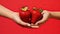 hands delicately holding strawberries with ultra-realistic details, set against a bright color background, and composed