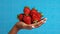 hands delicately holding strawberries with ultra-realistic details, set against a bright color background, and composed