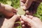 Hands of different people holding a gold coin bitcoin. Blurred background.