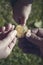 Hands of different people holding a gold coin bitcoin. Blurred background.