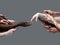 Hands of different people in touch isolated on grey studio background. Concept of human relation, community