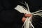 Hands of elderly arab woman artisan in traditional black dress close up weaving basket from dried organic palm leaves.