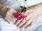 Hands of elderly lady with rose-series of photos