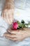 Hands of elderly lady with rose-series of photos