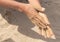 Hands of an elderly man in the sand of the beach