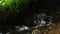 Hands of an elderly man scooping clean water from a forest stream. Hands close up.