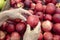 Hands of an elderly woman choosing ripe nectarine