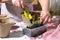 Hands of elderly woman in process of transplanting pepper seedlings in peat pots