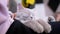 Hands of an Elderly Woman Stroking a Small Gray Kitten Lying on Knees. 4K