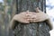 Hands Embracing Tree Trunk
