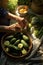 the hands of the farmer carefully put the fresh crop of cucumbers in the basket