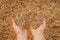 The hands of a farmer close-up holding a handful of wheat grains. Copy space. Rural meadow. Rich harvest concept.