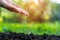 Hands of a farmer dropping water in the young green plants at nature park for reduce global warming earth.